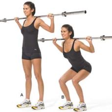 Barbell Squat